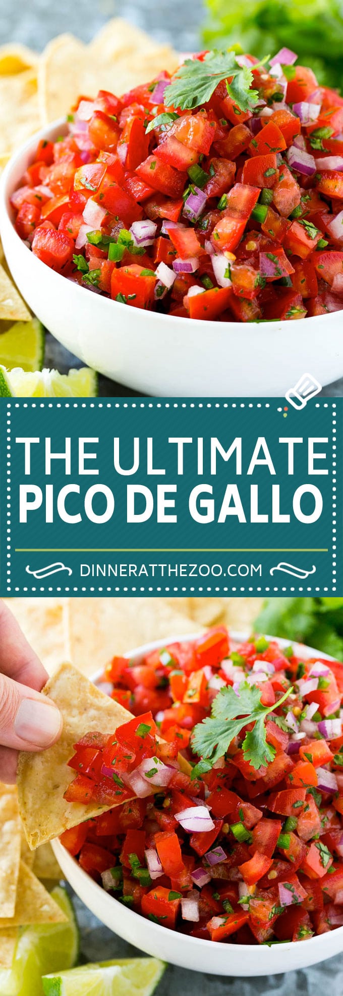 Pico de Gallo Recipe | Homemade Salsa Recipe | Salsa Fresca Recipe #salsa #salsafresca #picodegallo #snack #appetizer #bajap