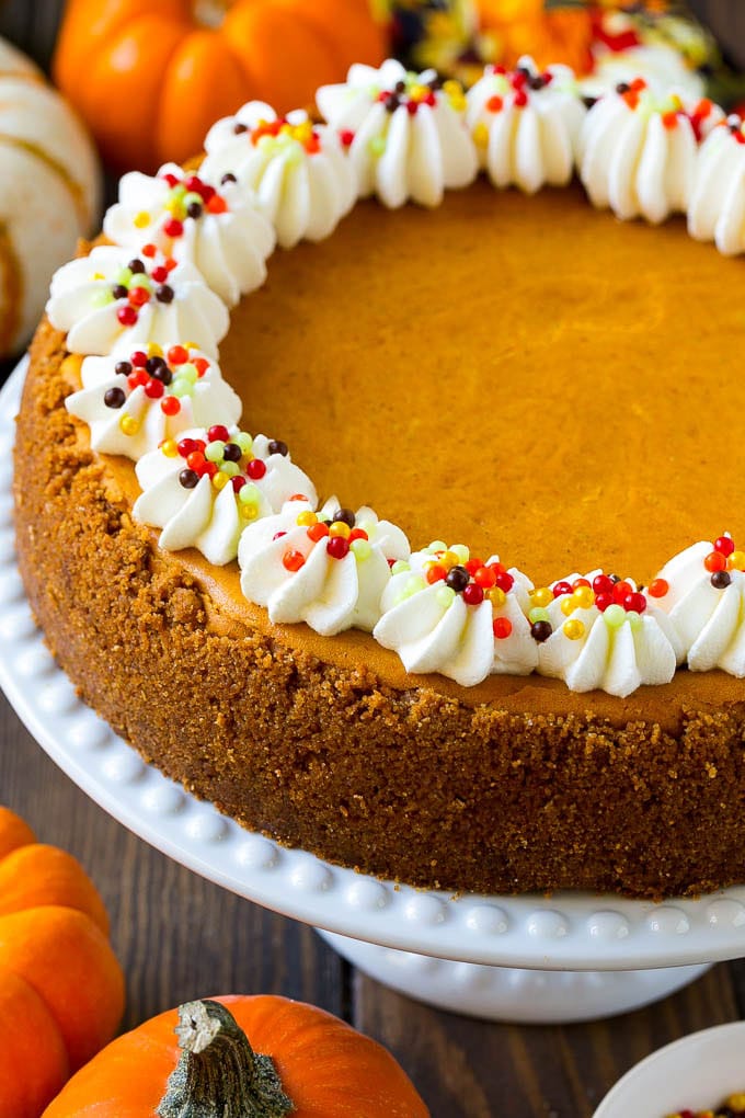 Pumpkin Cheesecake Recipe | Pumpkin Pie Cheesecake | Pumpkin Dessert #pumpkin #thanksgiving #dessert #cheesecake #fall #bajap A pumpkin cheesecake on a cake stand topped with whipped cream and sprinkles.