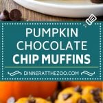 Pumpkin Chocolate Chip Muffins Recipe | Pumpkin Muffins | Chocolate Pumpkin Muffins #muffins #pumpkin #fall #chocolate #dessert #snack #bajap