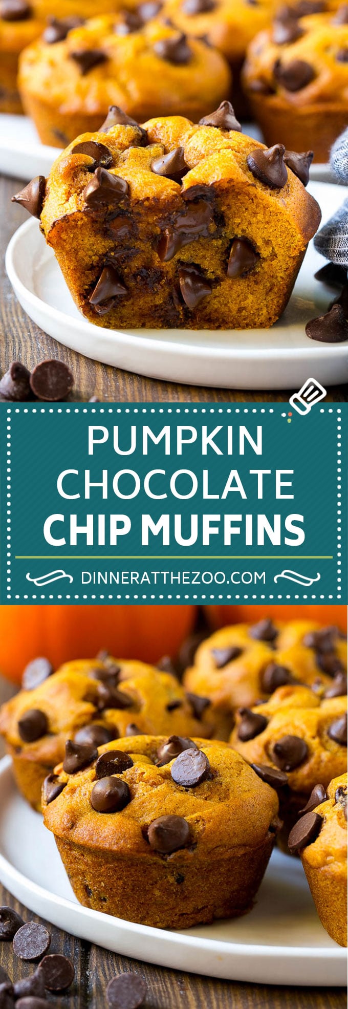 Pumpkin Chocolate Chip Muffins Recipe | Pumpkin Muffins | Chocolate Pumpkin Muffins #muffins #pumpkin #fall #chocolate #dessert #snack #bajap