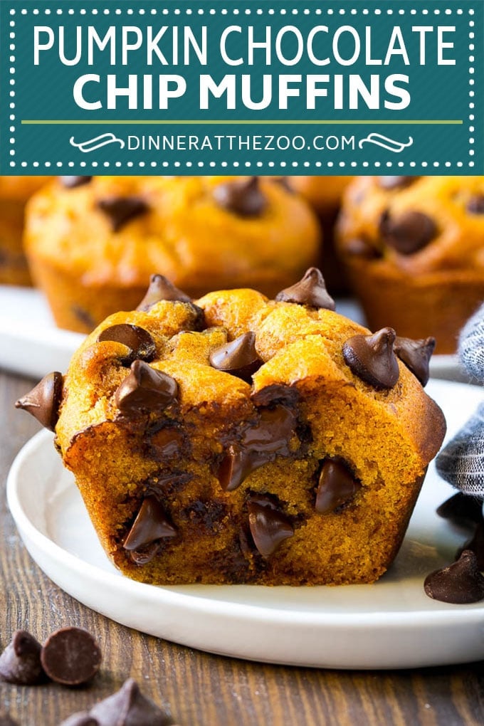 Pumpkin Chocolate Chip Muffins Recipe | Pumpkin Muffins | Chocolate Pumpkin Muffins #muffins #pumpkin #fall #chocolate #dessert #snack #bajap