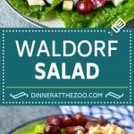 Waldorf Salad Recipe | Apple Salad | Fruit Salad #salad #fruit #apples #grapes #lunch #bajap #glutenfree