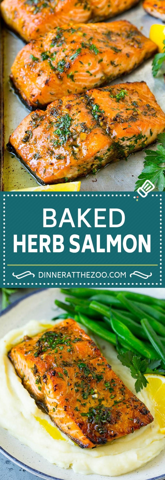 Baked Salmon Recipe | Garlic Salmon | Roasted Salmon #salmon #seafood #fish #dinner #bajap