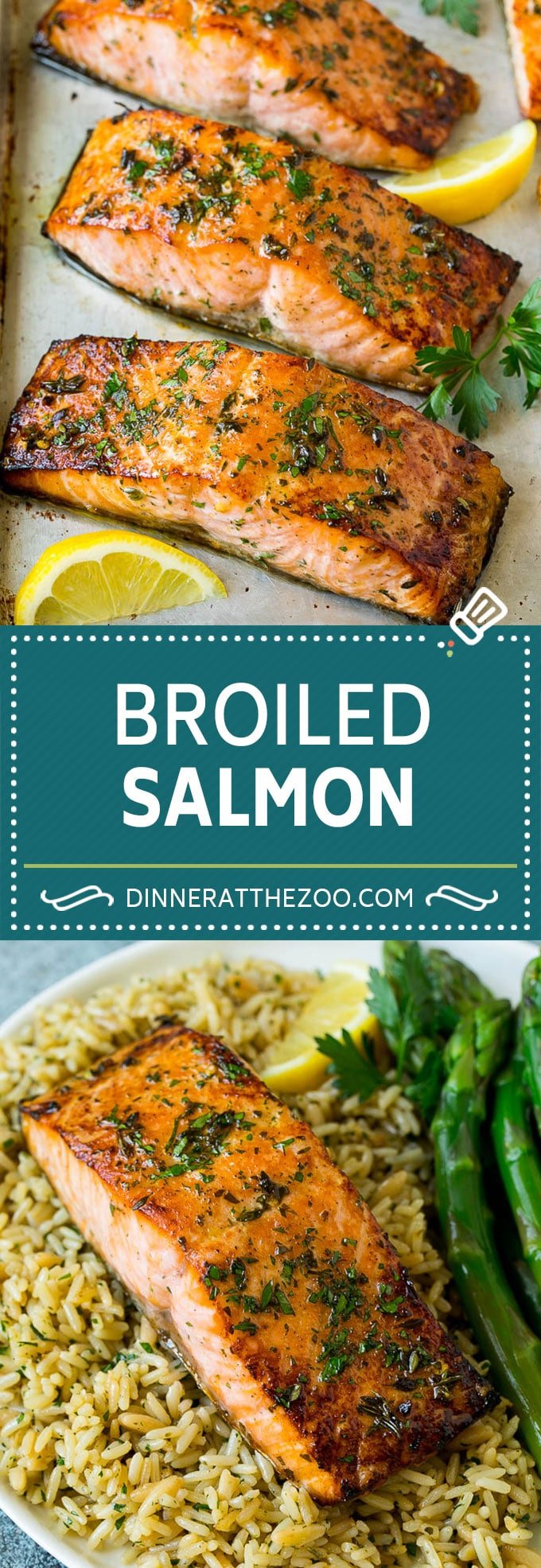 Broiled Salmon Recipe | Healthy Salmon Recipe #salmon #garlic #seafood #dinner #bajap