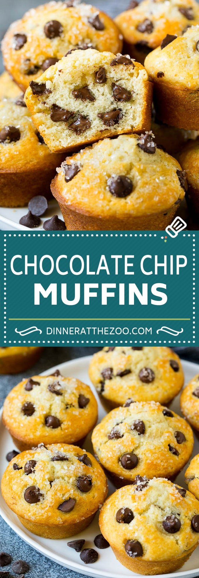 Chocolate Chip Muffins | Easy Muffin Recipe #chocolate #muffins #baking #breakfast #snack #bajap