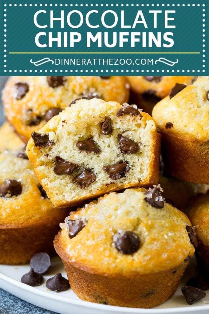 Chocolate Chip Muffins | Easy Muffin Recipe #chocolate #muffins #baking #breakfast #snack #bajap