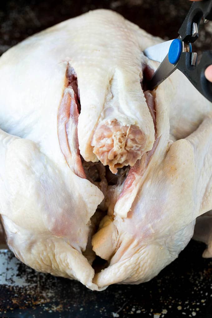 Spatchcock Turkey | Roasted Turkey | Thanksgiving Turkey #turkey #thanksgiving #dinner #fall #christmas #bajap A scissors cutting the back bone out.