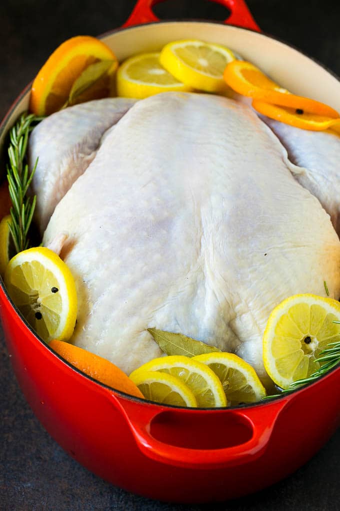 Thanksgiving Turkey Recipe | Roasted Turkey #turkey #thanksgiving #fall #dinner #bajap A turkey in a pot of brine.