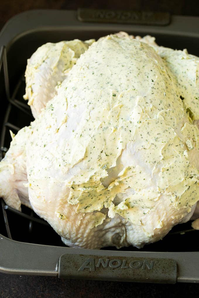 Thanksgiving Turkey Recipe | Roasted Turkey #turkey #thanksgiving #fall #dinner #bajap A turkey coated in herb butter.