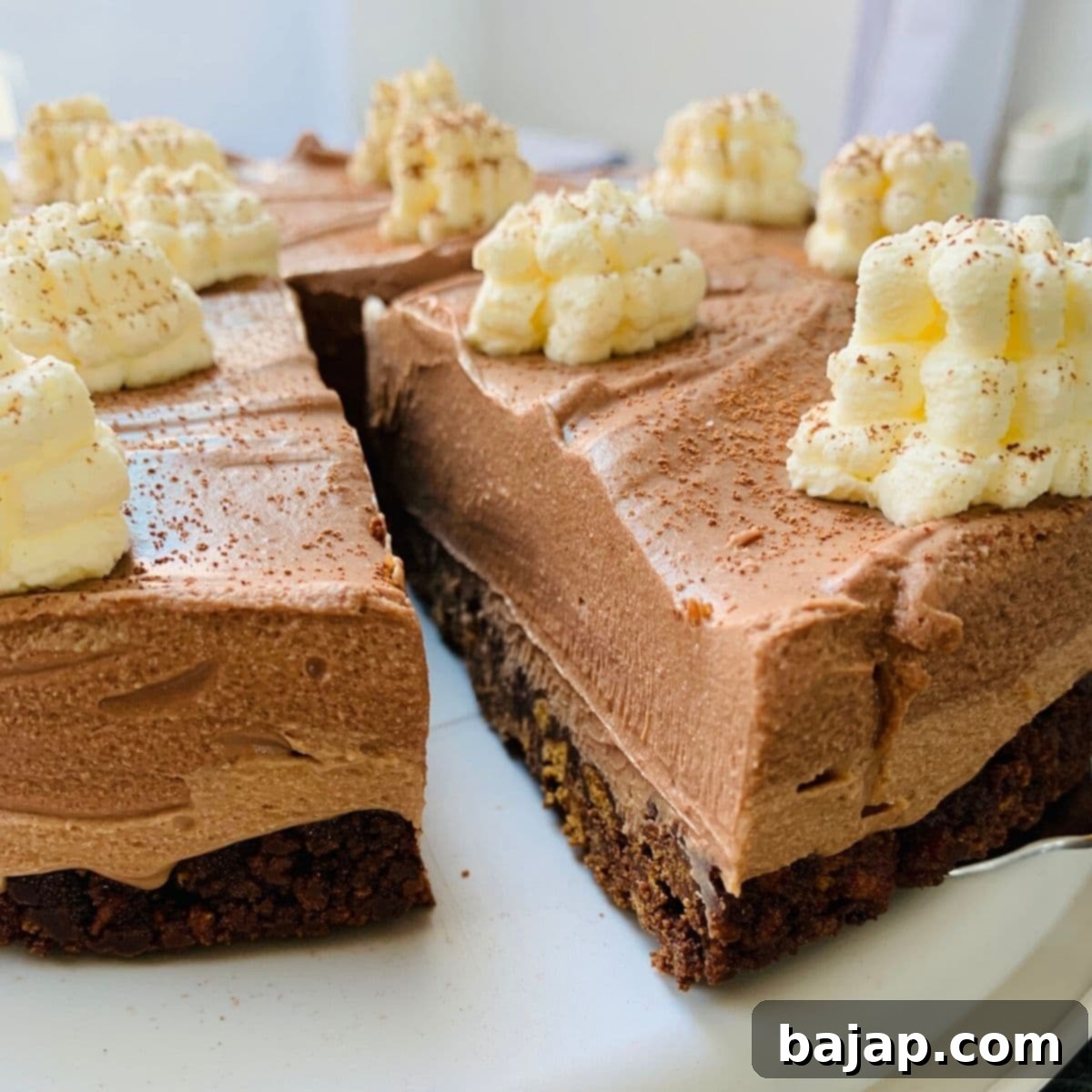 A big slice of deliciousness - the no-bake chocolate ricotta cheesecake!