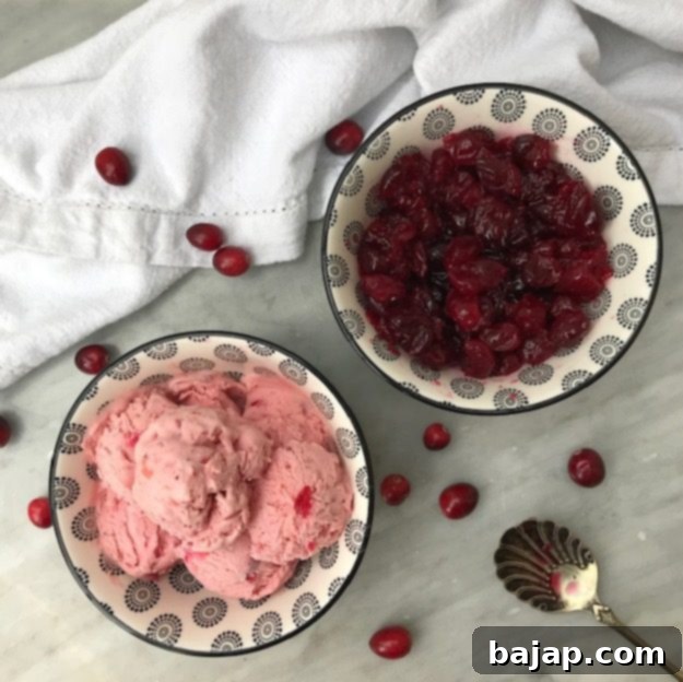 crdanberry ice cream