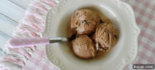 Decadent Stracciatella Egg Liqueur Milkshake Recipe 11 mocha-chocolate-chip-ice-cream