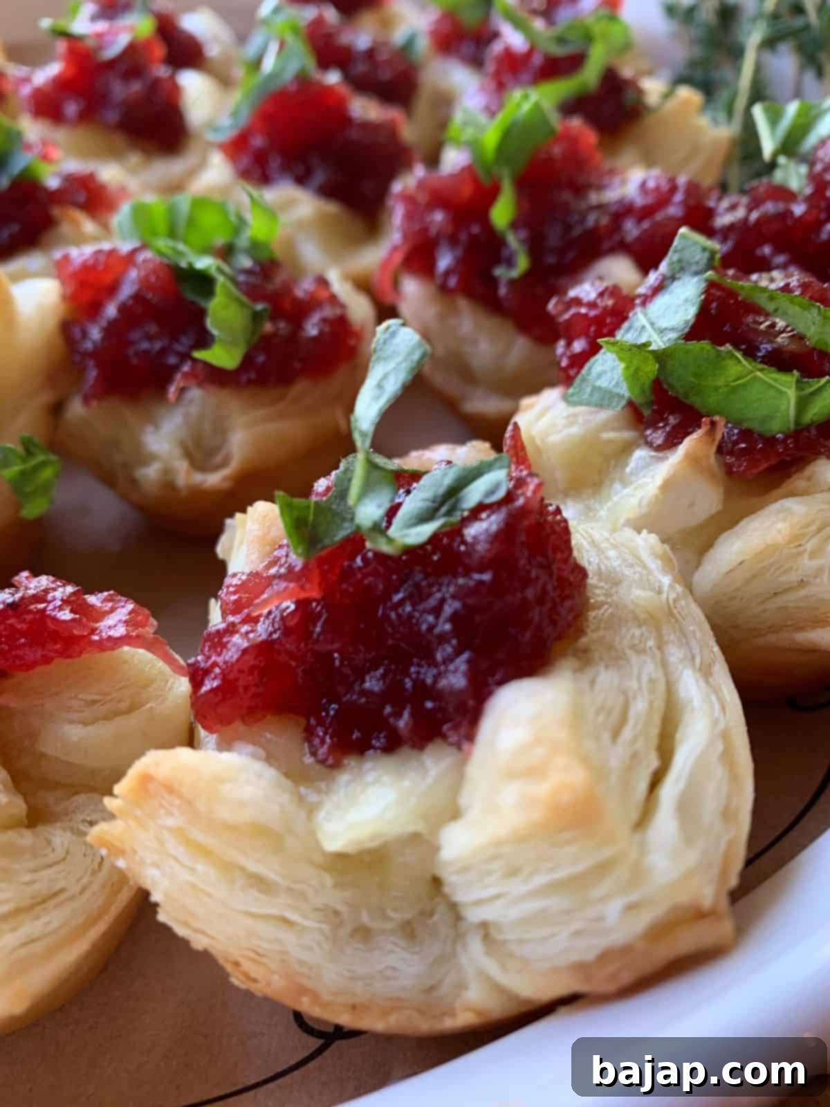 Cranberry Brie Bites are an impressive appetizer with vibrant colors and the perfect combination of sweet and savory. The ingredients are easy to keep on hand during the holiday season so you can prepare these in a snap.