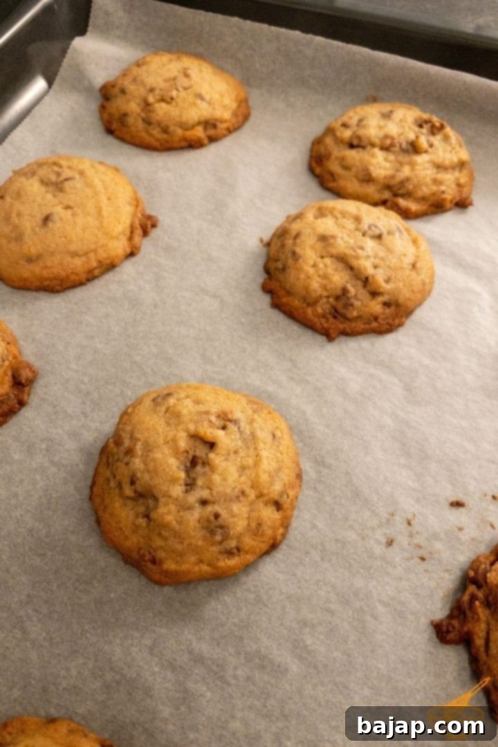 Freshly baked chewy chocolate chip cookies with chestnut flour, golden-brown and still warm