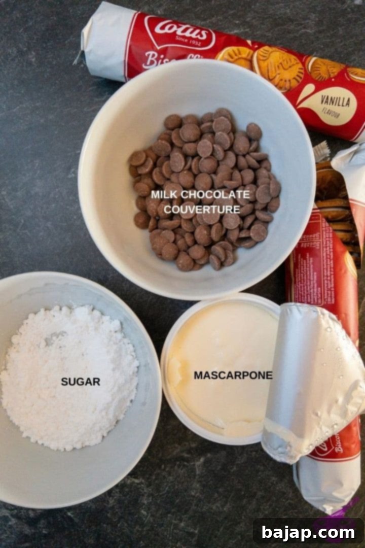 no bake lotus biscoff cake pops ingredients