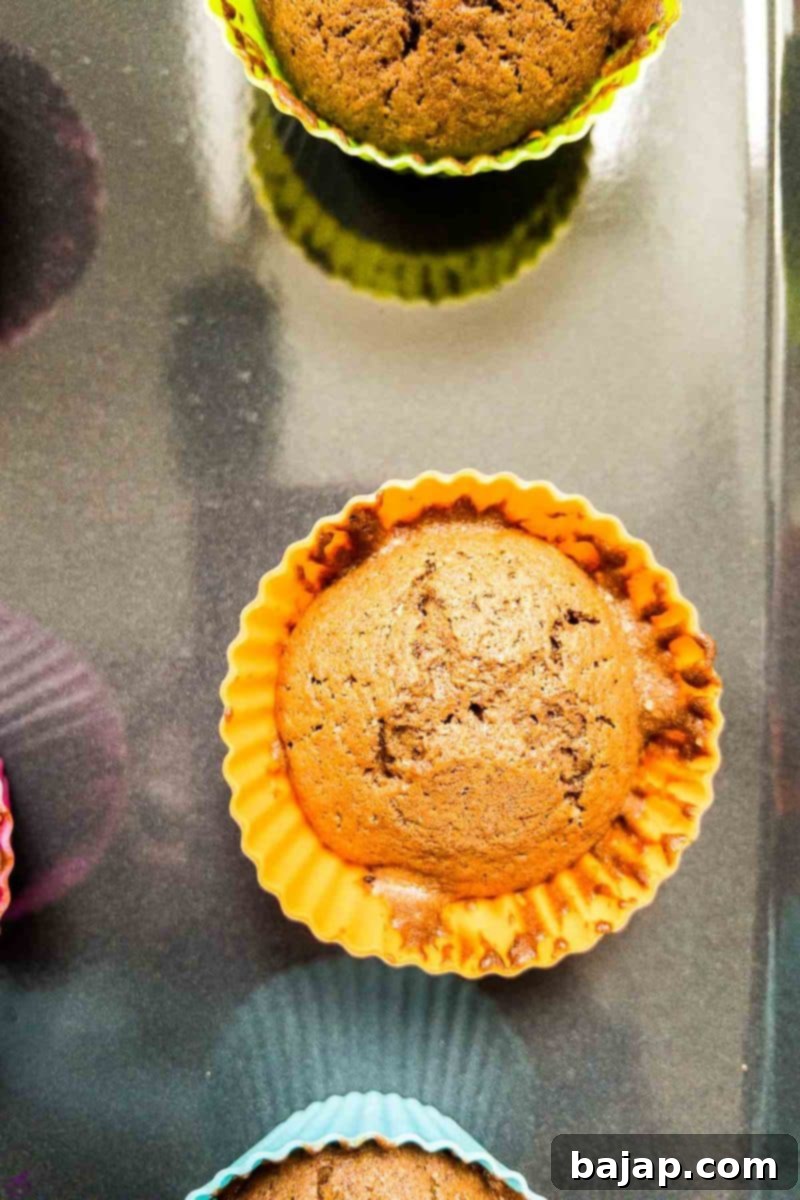 Chocolate muffins after baking. 