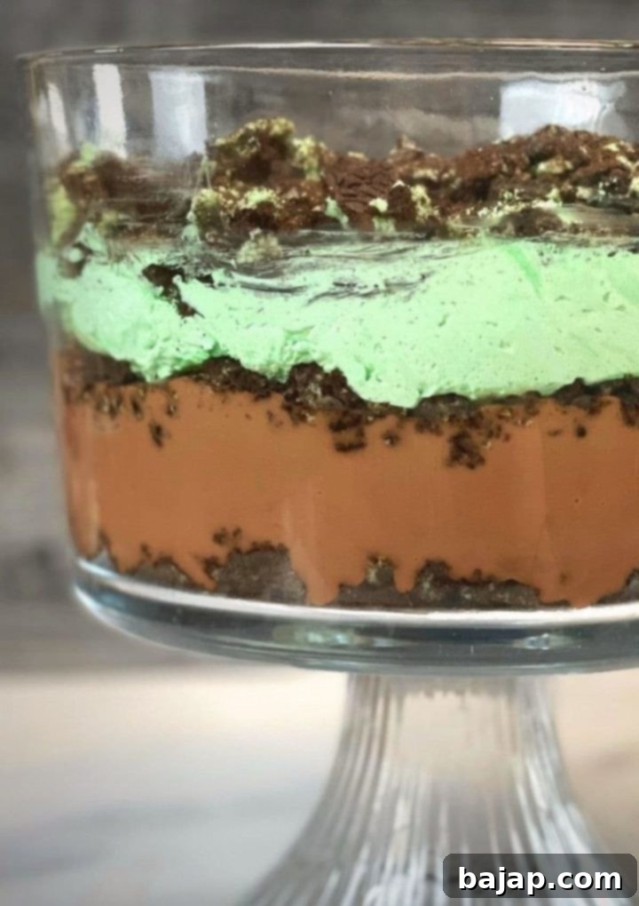 St. Patrick's Day Mint Oreo Pudding Cake ready to eat, showing vibrant green and chocolate layers