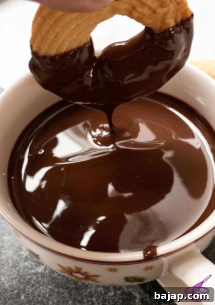 Beyond the Bowl What to Do with Melted Chocolate 2 chocolate dipped cookies