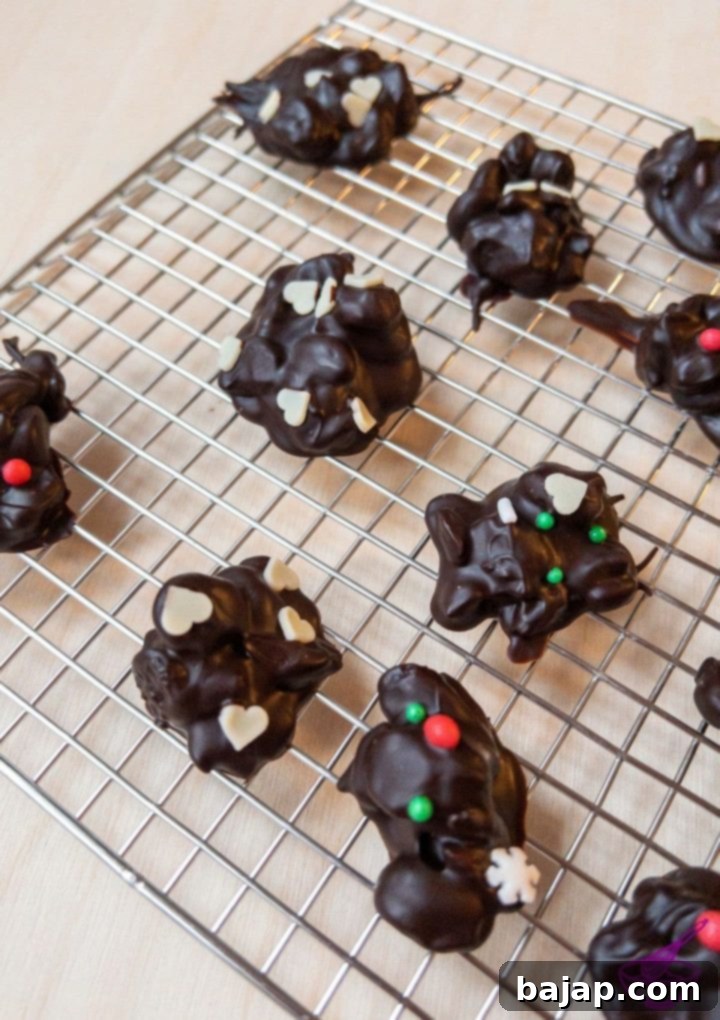 Beyond the Bowl What to Do with Melted Chocolate 3 chocolate covered dried fruits