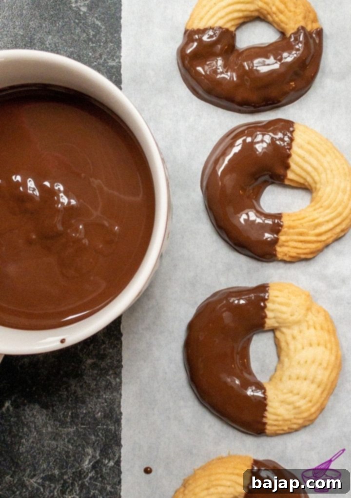 Beyond the Bowl What to Do with Melted Chocolate 6 leftover melted chocolate with dipped cookies