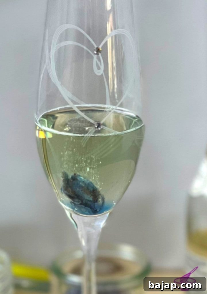Two champagne flutes, one with a homemade candied violet showing subtle color, and another with a store-bought violet showing vibrant color in sparkling wine.