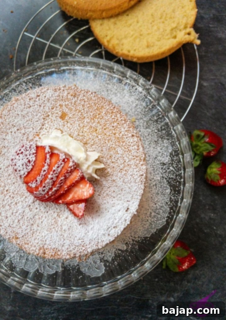 Strawberry Cloud Cake 2 A beautiful, fluffy strawberry sponge cake with layers of whipped cream and fresh strawberries, dusted with powdered sugar.