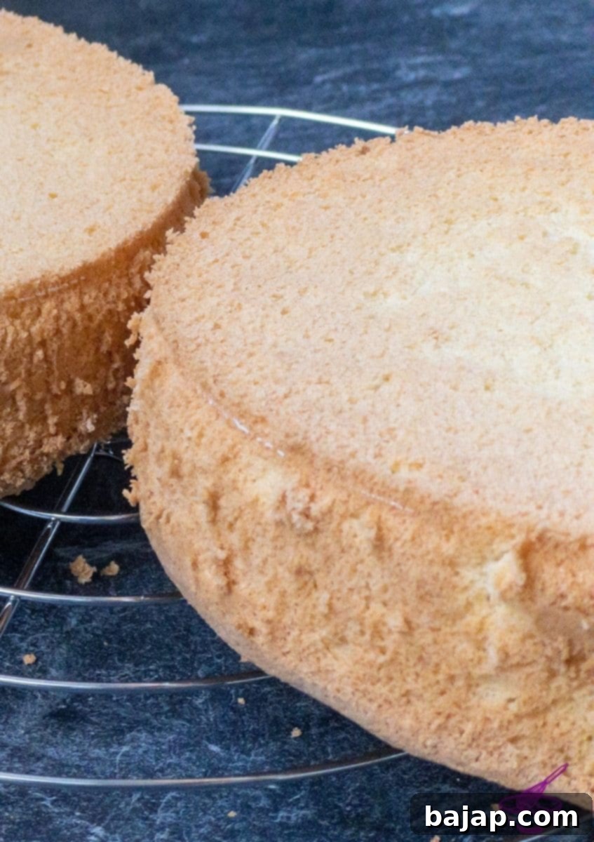 Two fluffy Viennese sponge cake bases stacked on a cooling rack, showing their light texture.