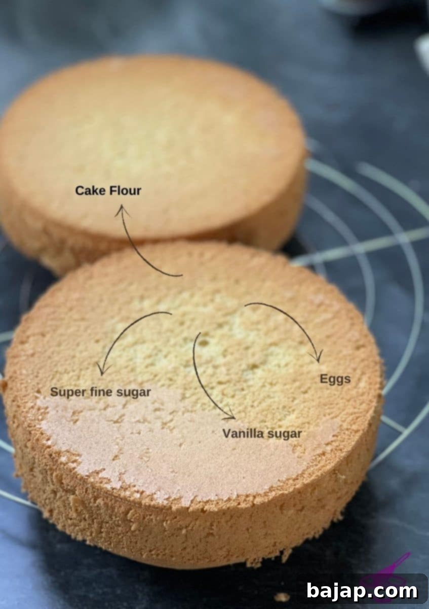 Fresh eggs, cake flour, vanilla sugar, and superfine sugar laid out, ready for baking.