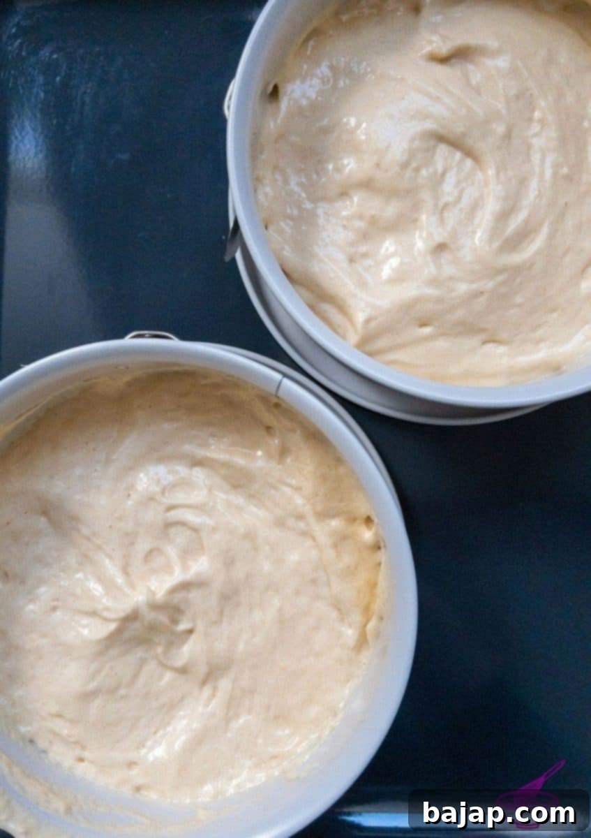 Sponge cake batter in a springform pan, ready to be placed into the oven for baking.