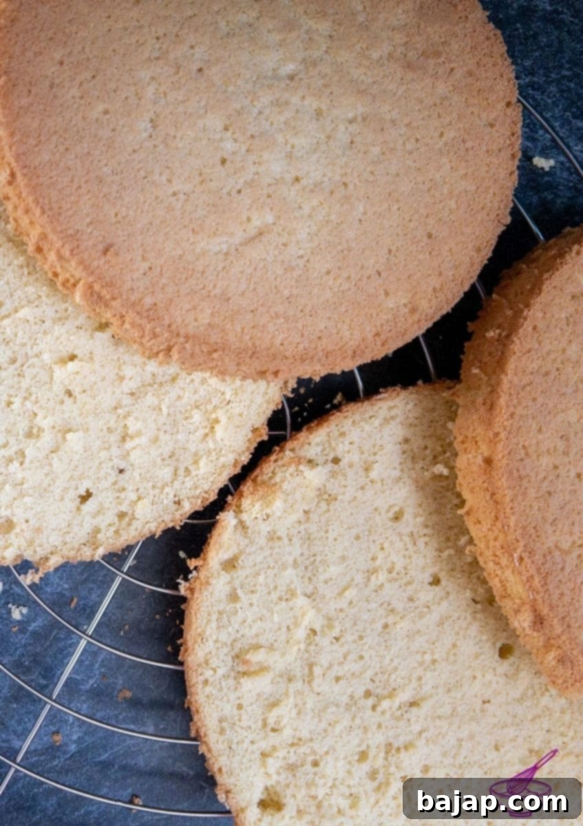 A bread knife being used to slice a sponge cake horizontally into layers.