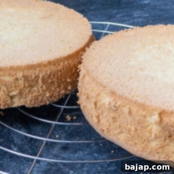 Two sponge cakes on cooling rack from the side.