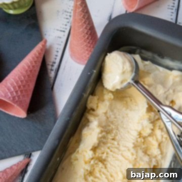 Loaf pan filled with homemade vanilla ice cream and scooped out vanilla icecream. With pink ice cream cones alongside.