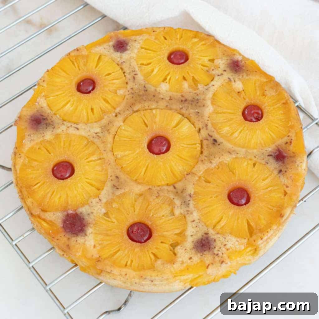 A vegan pineapple upside down cake with caramelized pineapple slices.