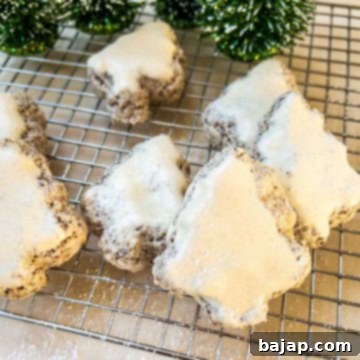 Ready to eat cinnamon stars.