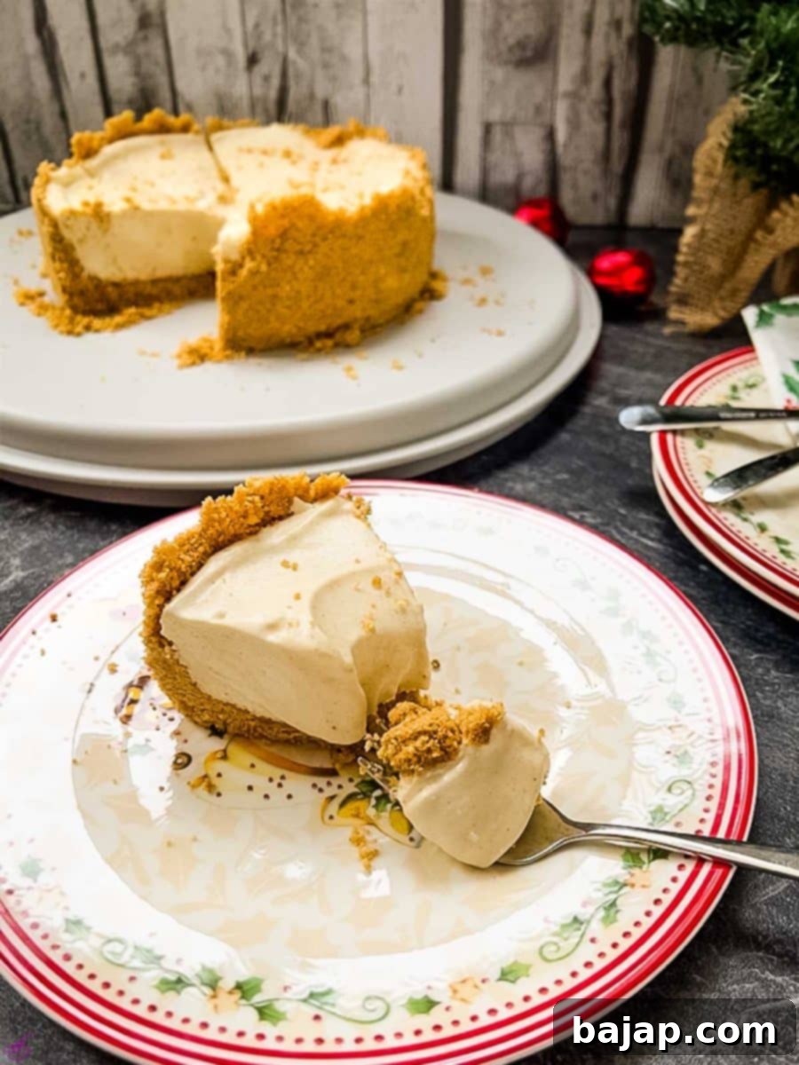 Ready to eat no-bake eggnog cheesecake garnished with whipped cream and a sprinkle of nutmeg. The subtle ginger flavor in the crust and the rich nutmeg notes in the filling create a true taste sensation, perfect for a Christmas party or a cozy family gathering.