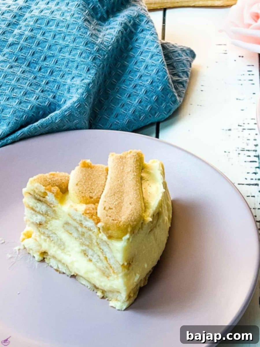 A large, impressive layered pudding dessert with a top layer of ladyfingers, ready for serving.