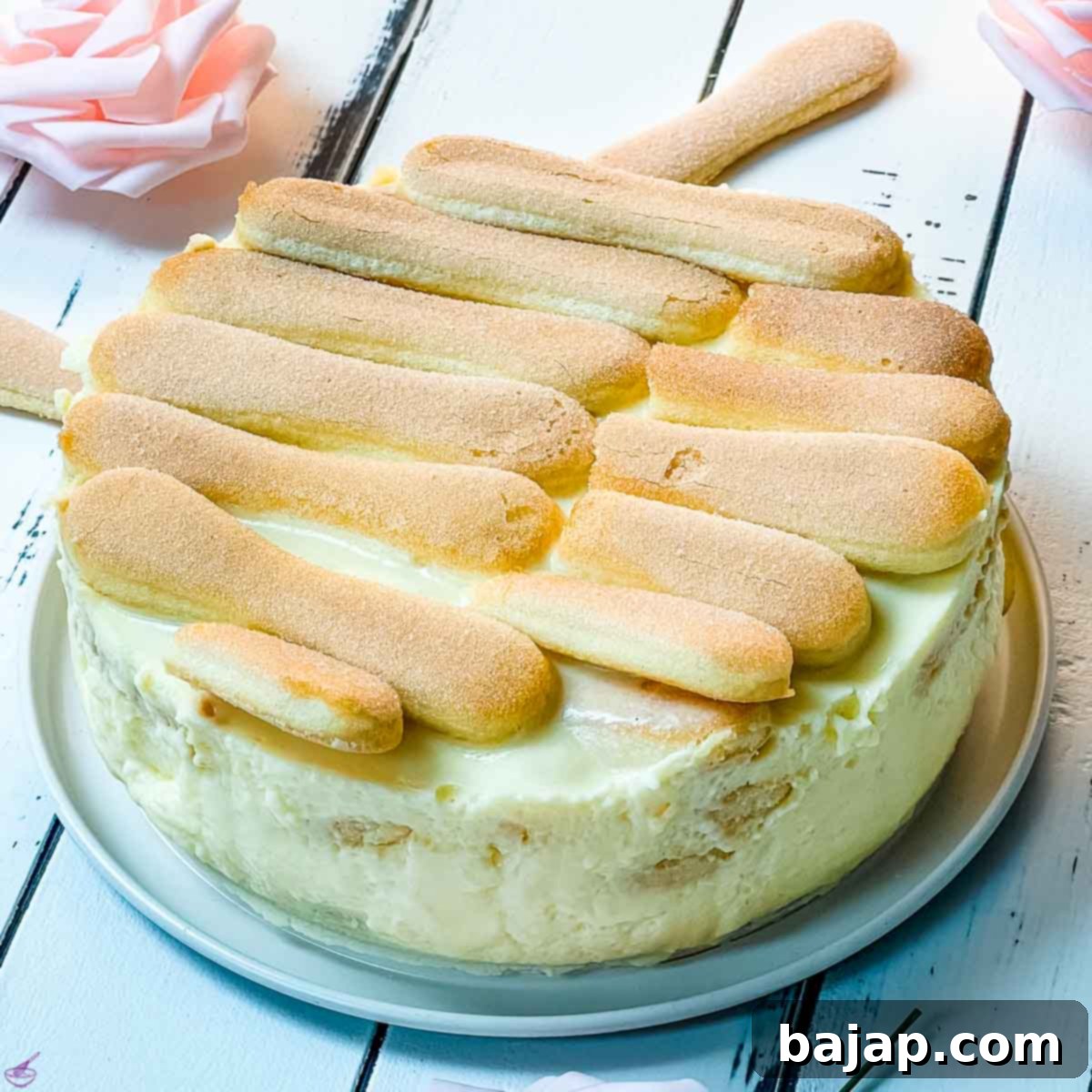 With the ladyfingers as the final layer, the dessert has an even greater visual impact!