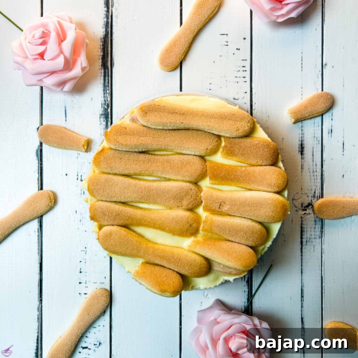 With the ladyfingers as the final layer, the dessert has an even greater visual impact!