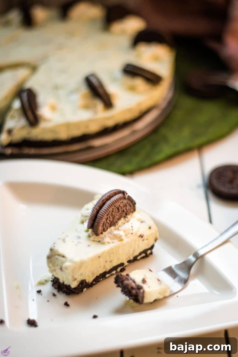 A refreshing green no bake mint chocolate cheesecake with Oreo crust and After Eight pieces inside the cream cheese filling, garnished with whipped cream and mint leaves.