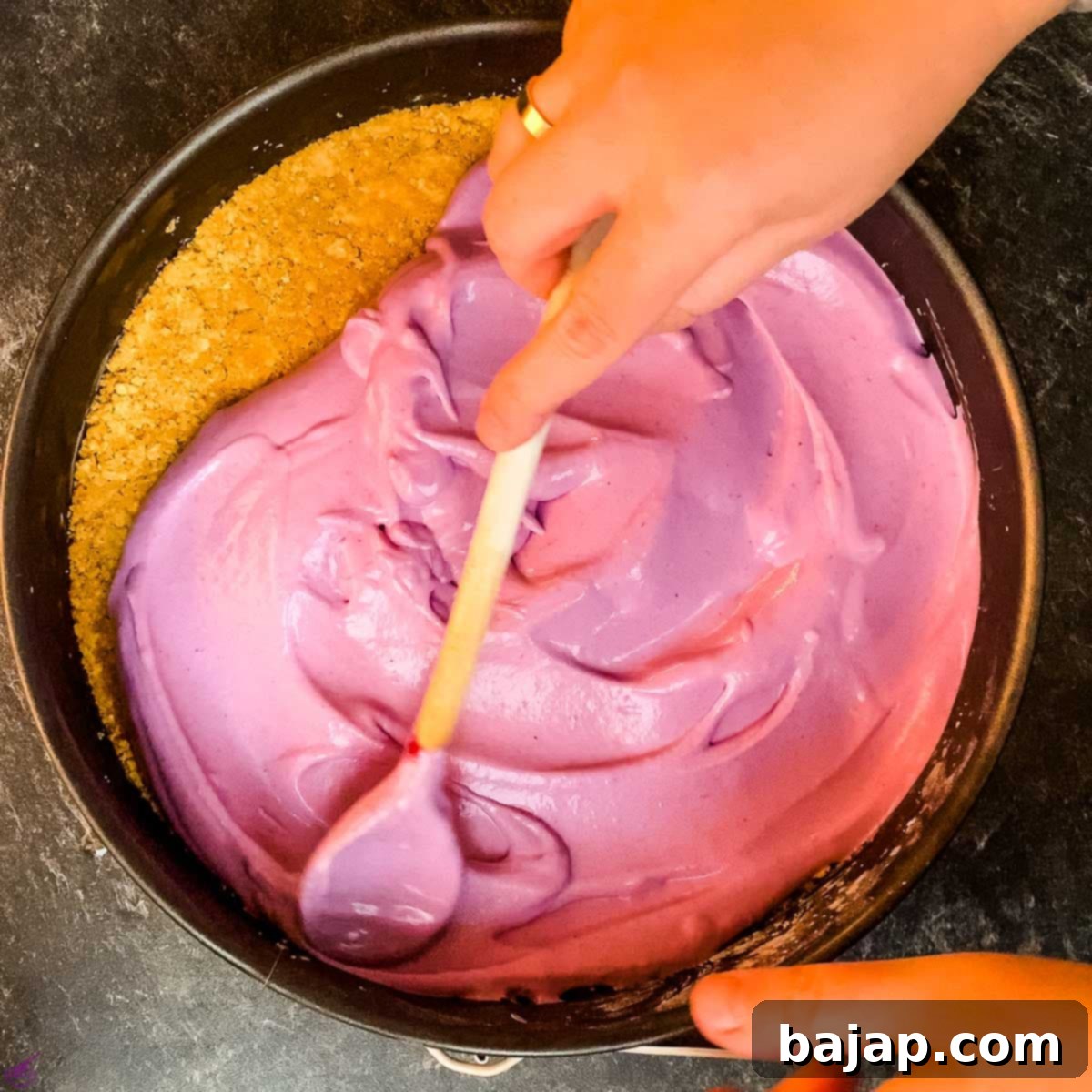 Spreading the smooth blueberry cream cheese layer evenly over the graham cracker walnut crust in a springform pan.