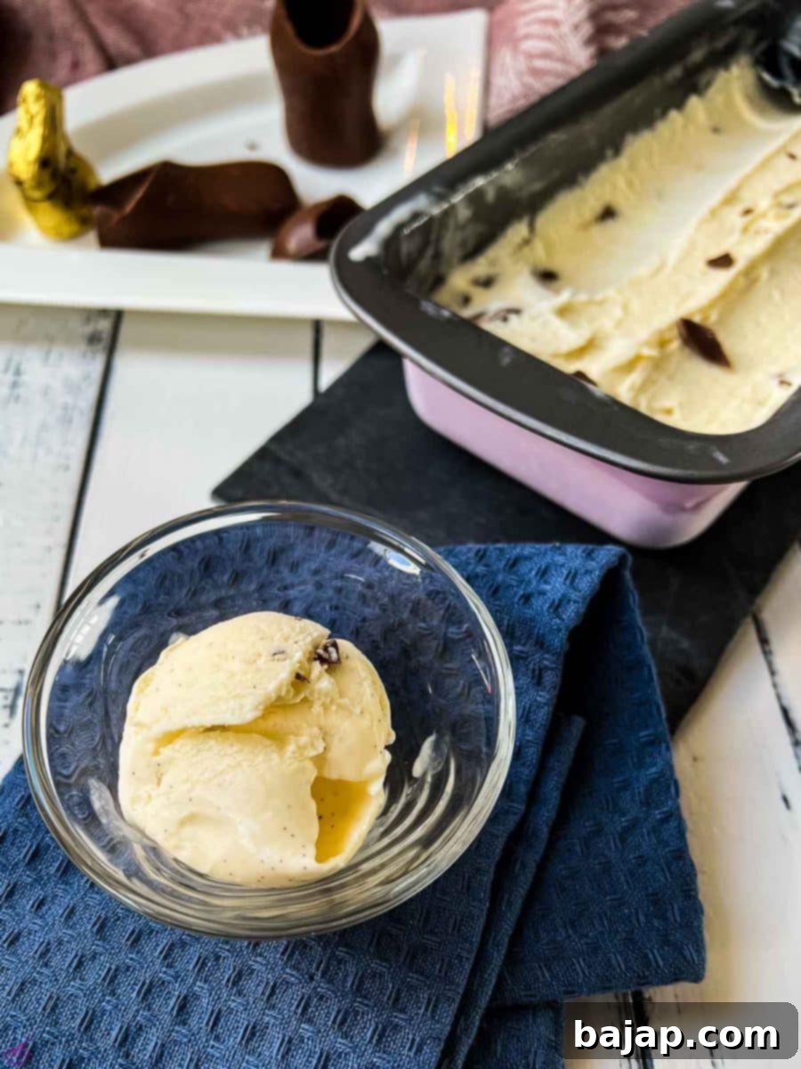 One scoop of delicious Homemade Chocolate Chip Vanilla Ice Cream in a bowl, ready to be enjoyed.