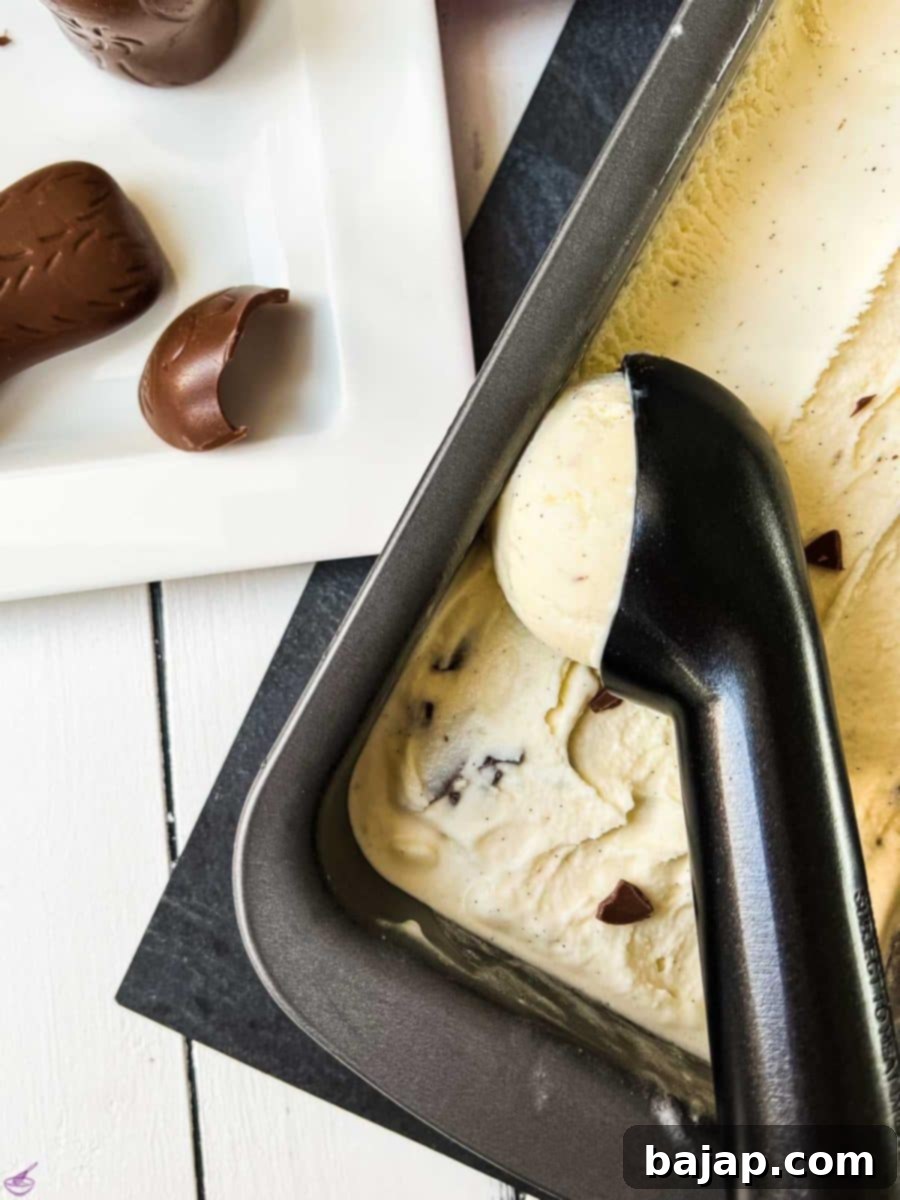 A scoop of delicious Homemade Chocolate Chip Vanilla Ice Cream with visible chocolate pieces, glistening in a bowl.