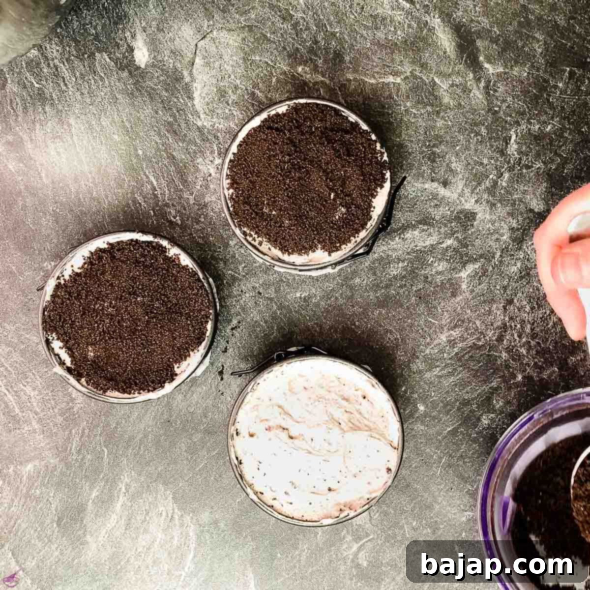 Sprinkle some Oreo cookie crumbs over each individual cake to cover them.