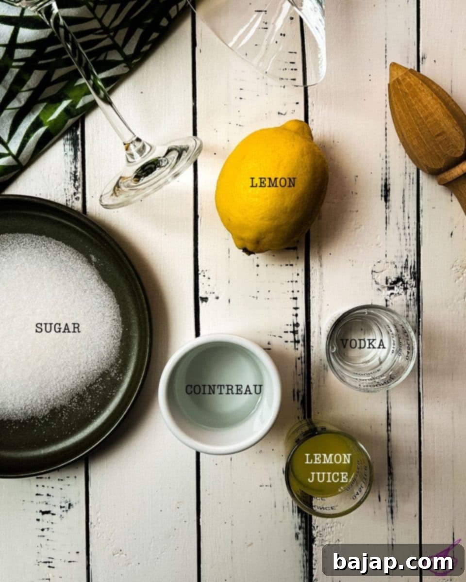 Just a few ingredients for making a lovely, refreshing vanilla vodka sidecar.