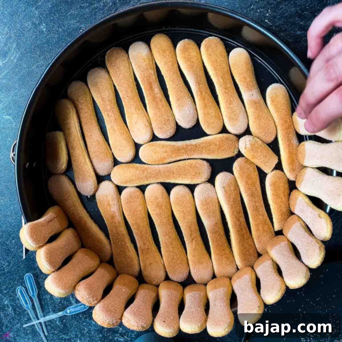 Make a border and bottom with the ladyfingers in the springform pan.