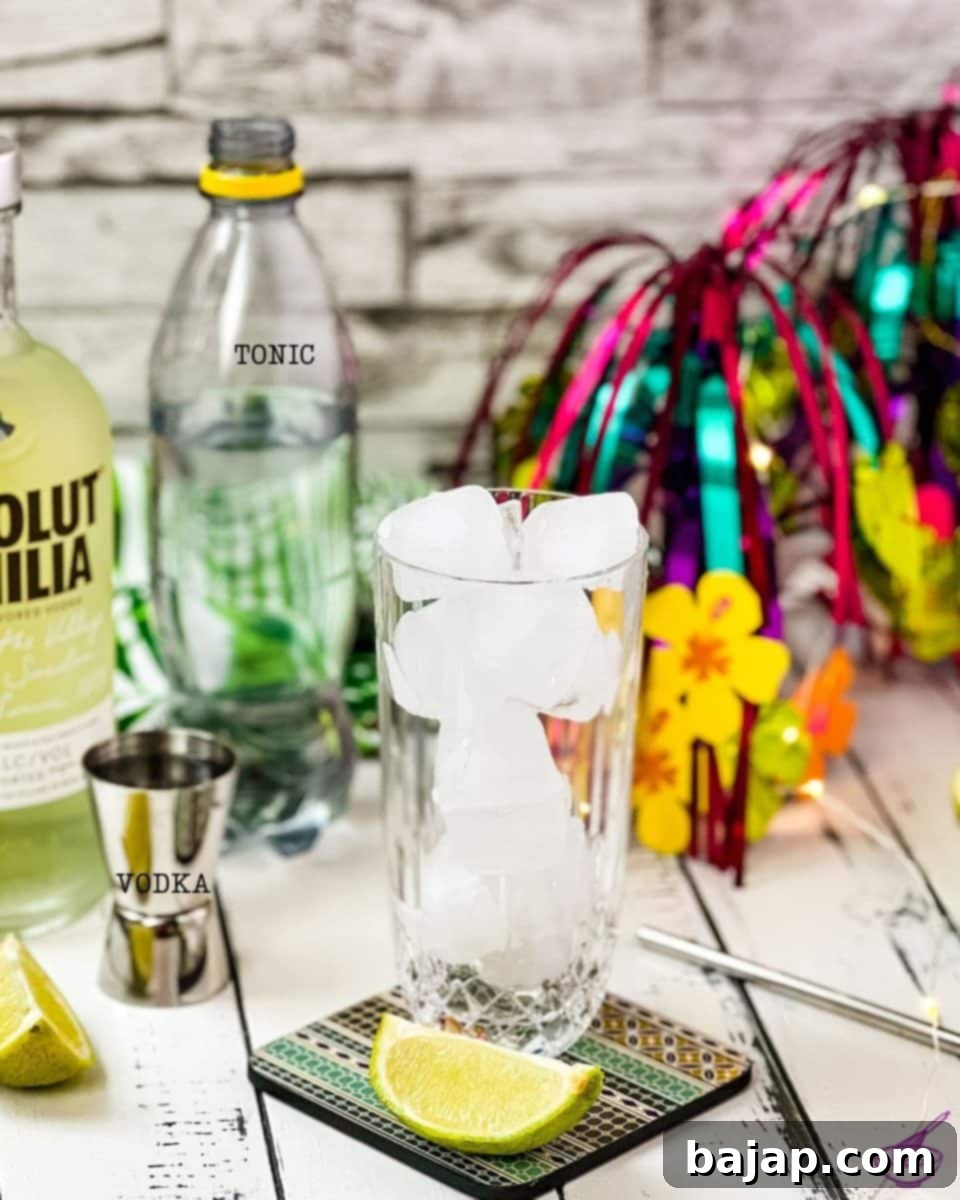 Ingredients vodka tonic.