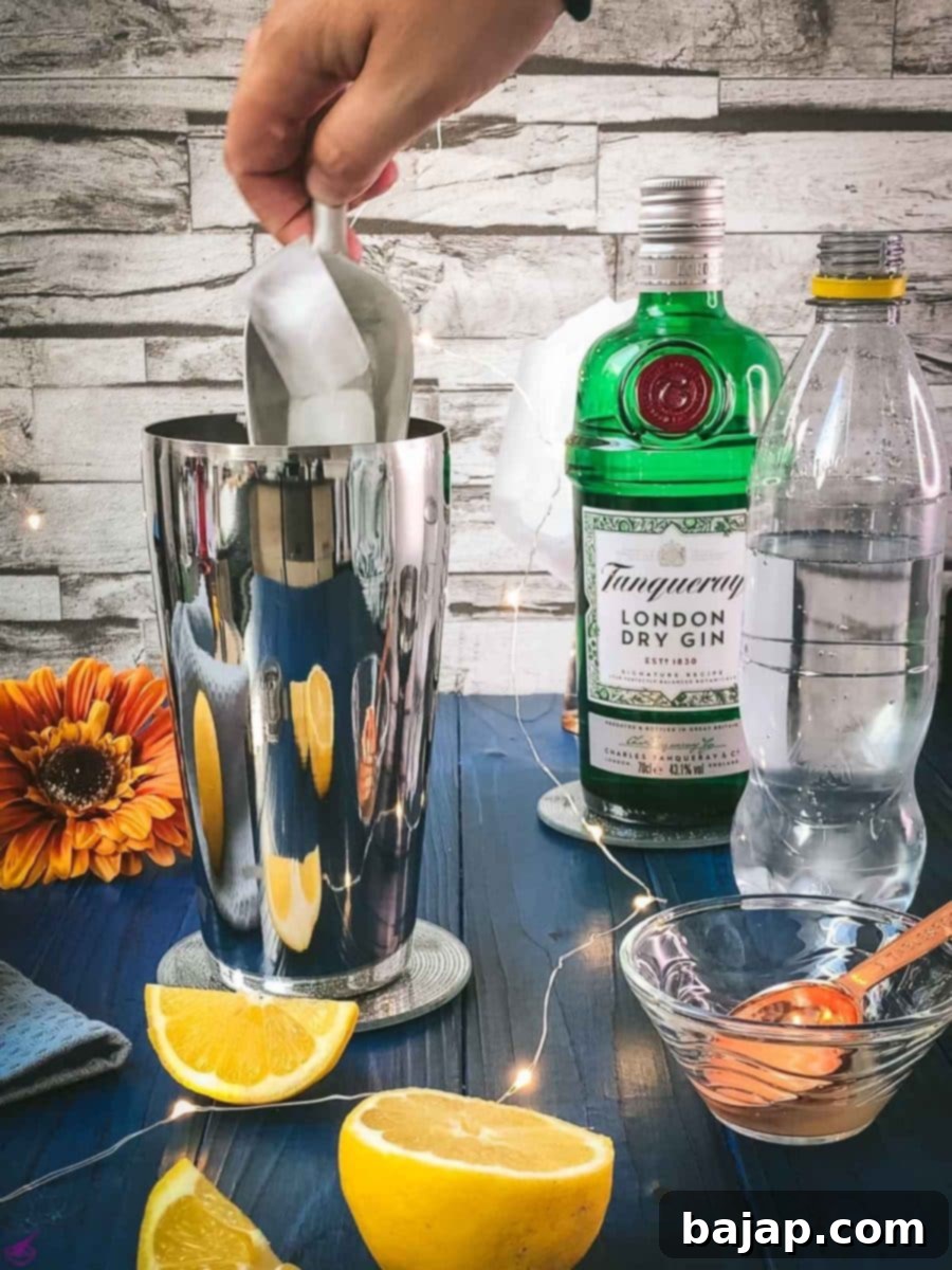 Zesty Gin and Tonic 7 Add ice cubes to your shaker.