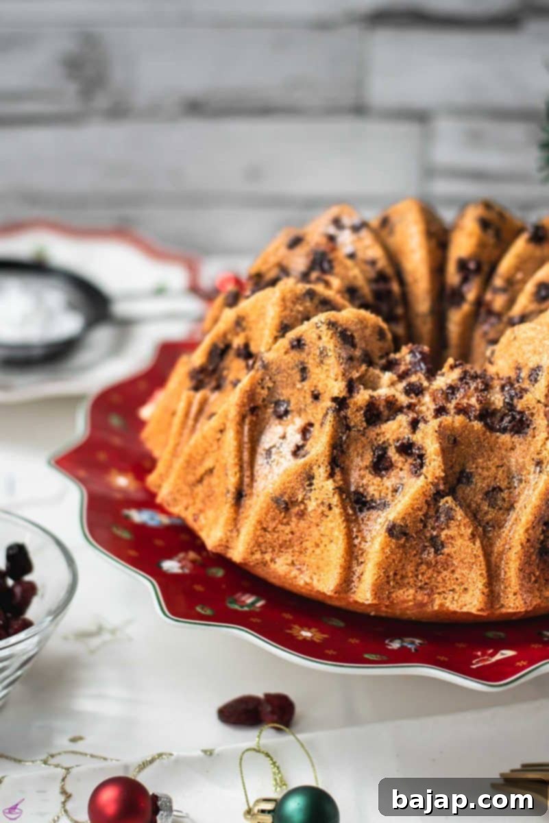 Gorgeous cranberry bundt cake with chocolate chips, cinnamon, and of course dried cranberries. Placed on a red plate.