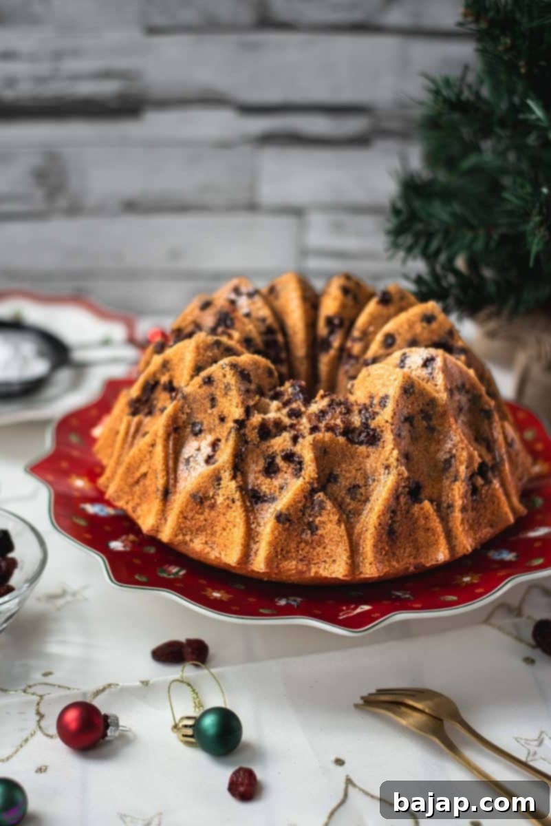 Gorgeous cranberry bundt cake with chocolate chips, cinnamon, and of course dried cranberries. Placed on a red plate.