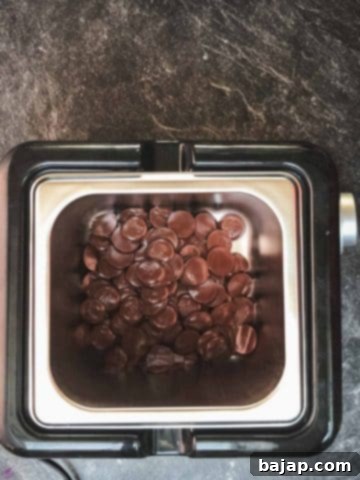 Melt the dark chocolate using a double boiler, tempering device, or your microwave.